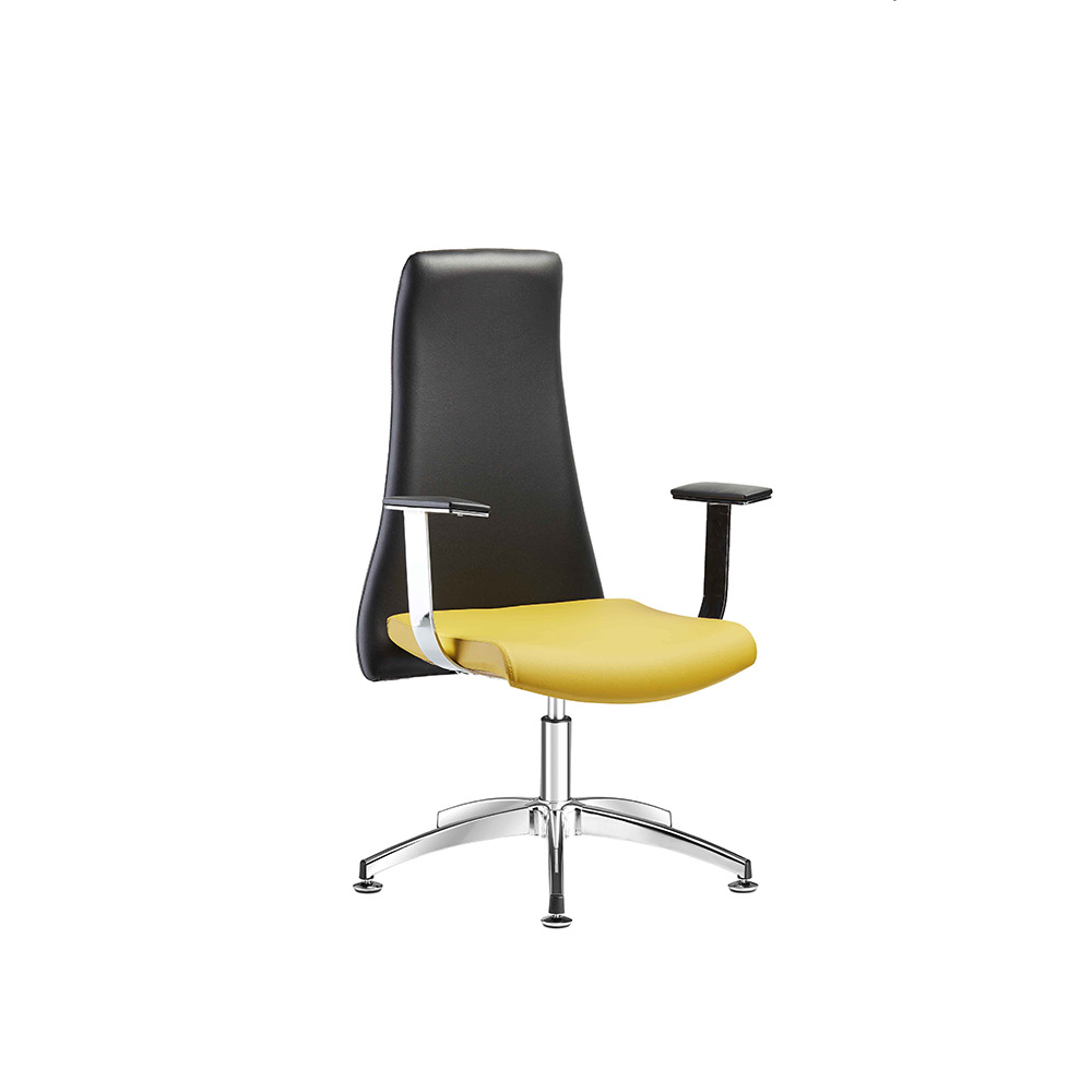 SPORT – Guest Office Chair – Star Leg – Office Chairs, Office Chair Manufacturer, Office Furniture